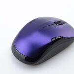 Mouse